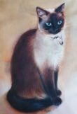 You Pet´s Portrait (inramad)