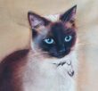 You Pet´s Portrait (inramad) - Image 2