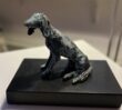 Saluki - Image 2
