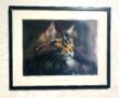 Maine Coon Cat (konsttryck, inramad) - Image 3