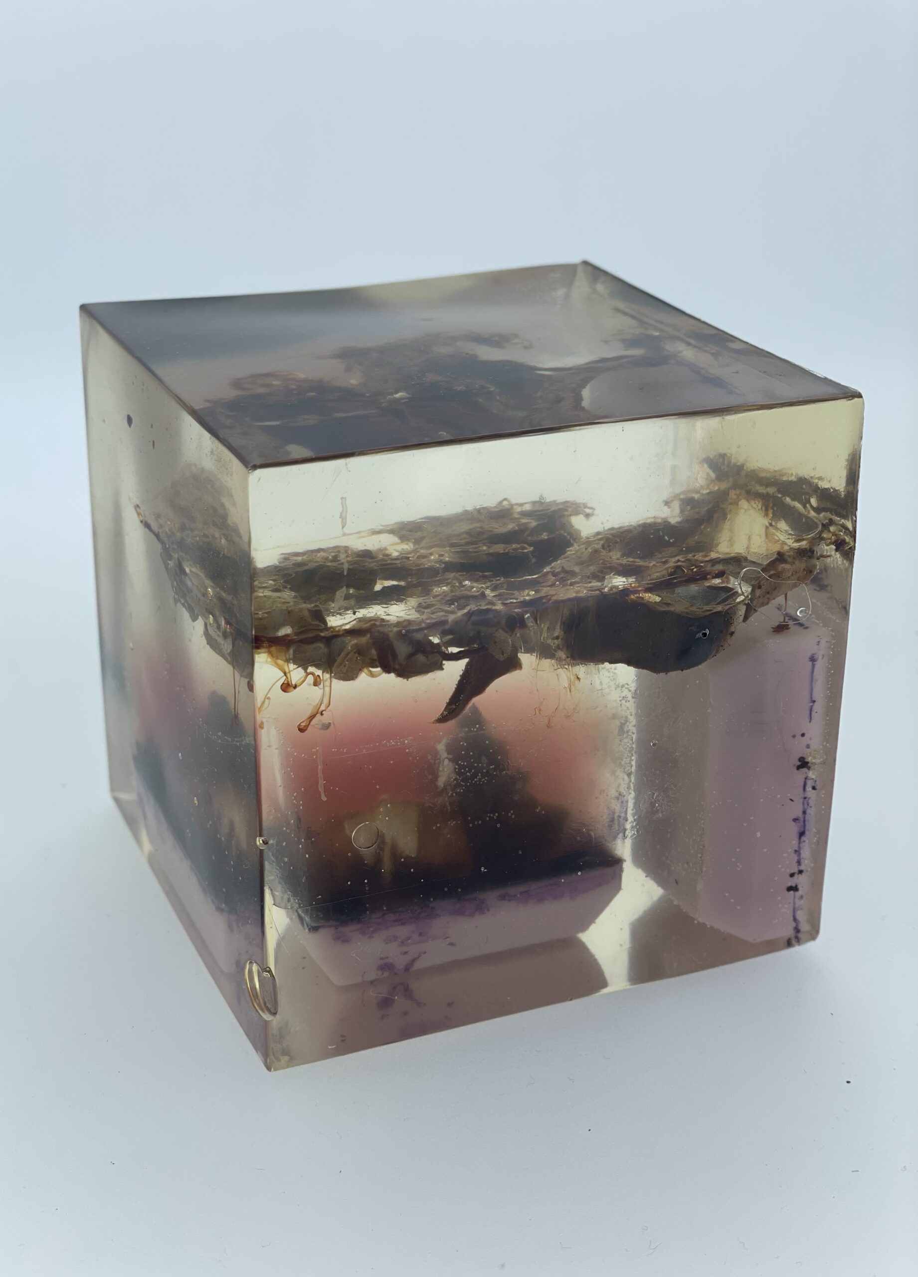 IMG_4133 Cube - cabbage n beets - Image 1