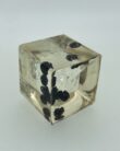Cube - Blueberries on glass - Image 2