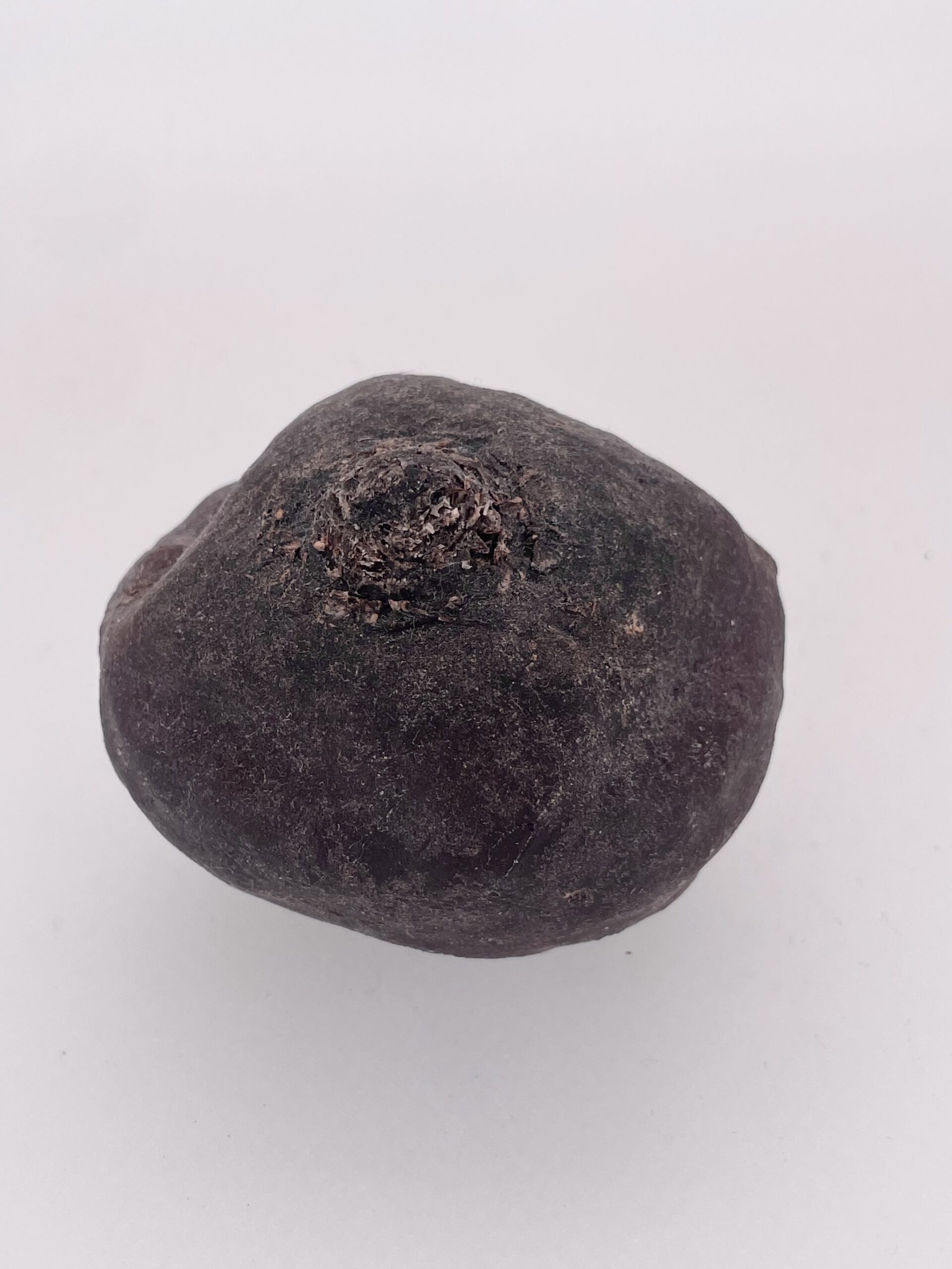 IMG_4148 Beet IIV - Image 1