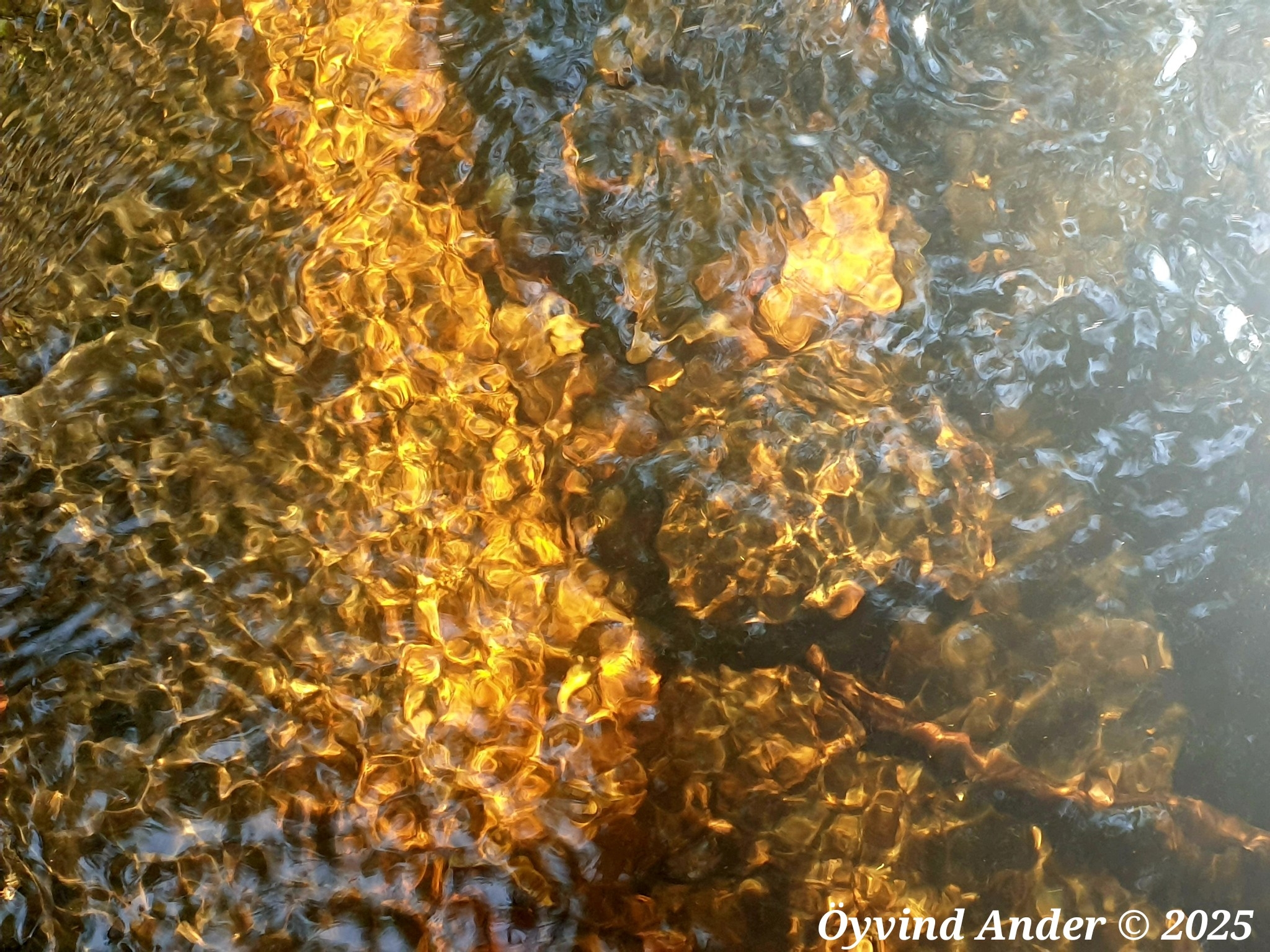 20220719_132707 Bäcken - Image 1