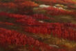 Stekenjokk - Image 3