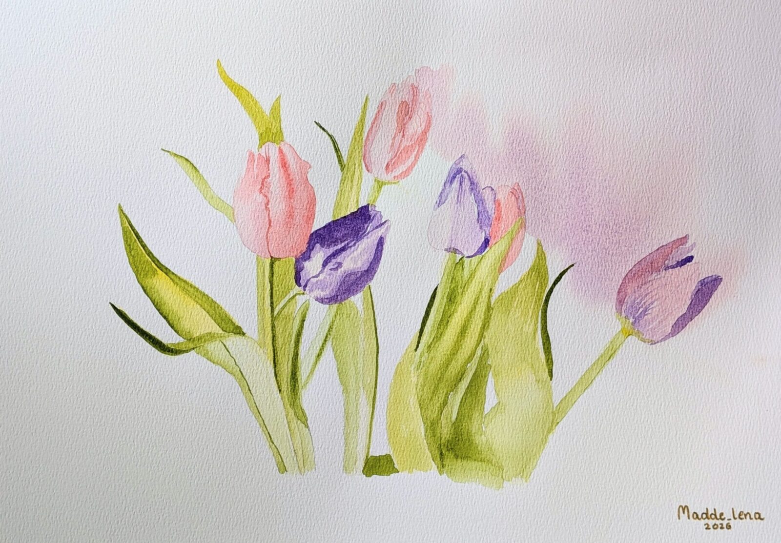 cropped-PXL_20260610_105033633.MP2_-scaled-1.jpg Tulips - Image 1
